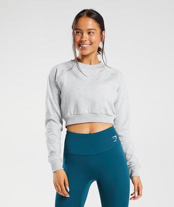 Accessories Damskie Gymshark Treningowe Cropped Swetry Głęboka Szare | PL 2532NWY